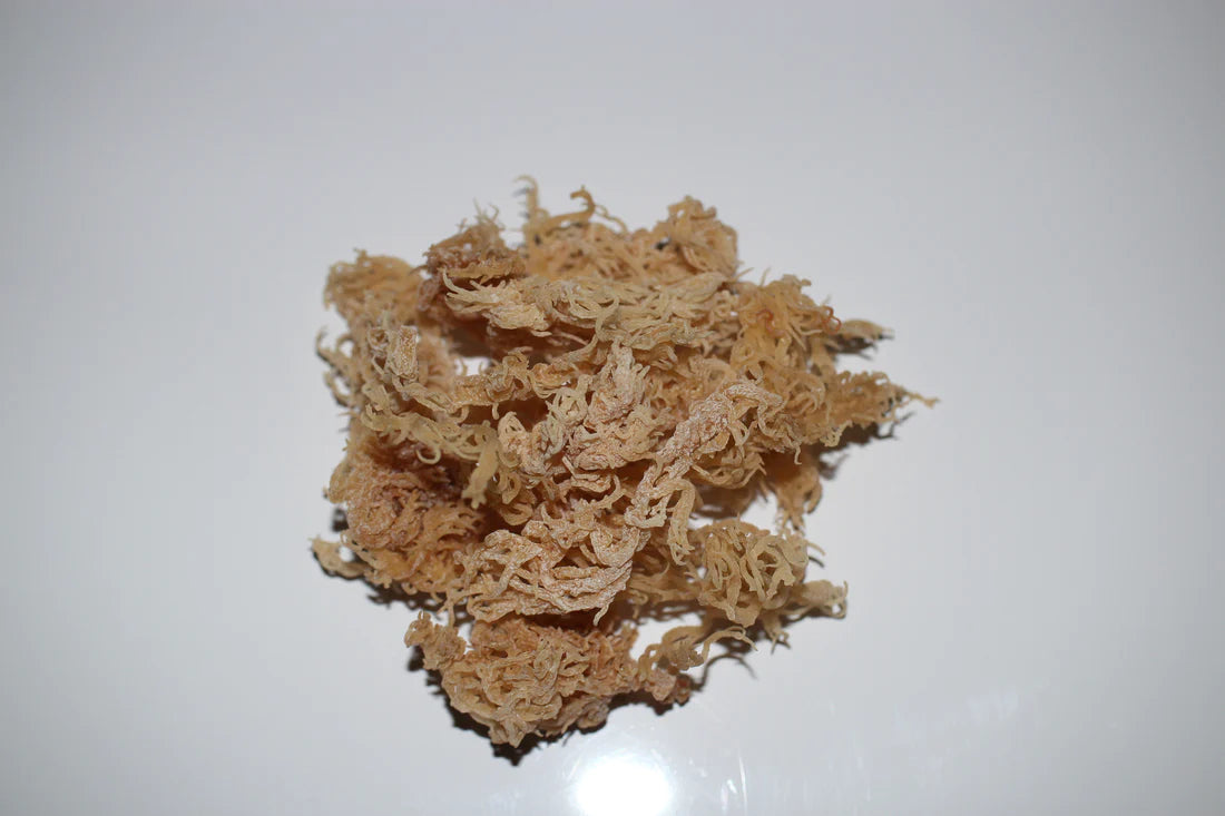 (Jamaica) Wildcraft Premium Raw Gold Sea Moss