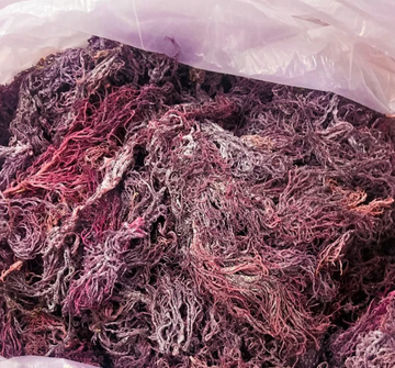 (St Lucia) Wildcraft Premium Raw PURPLE Sea Moss