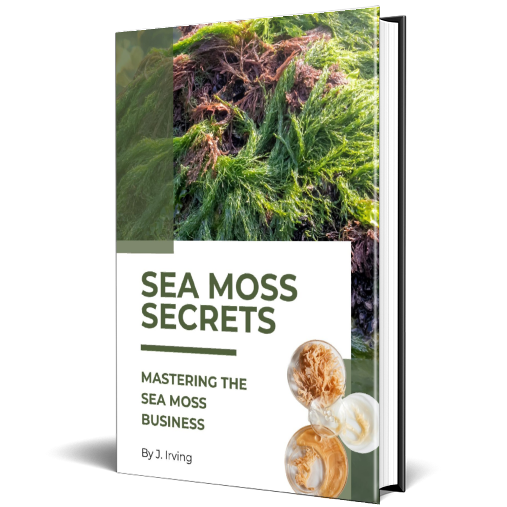 Mastering the Sea Moss Business E-book