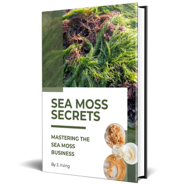 Mastering the Sea Moss Business E-book