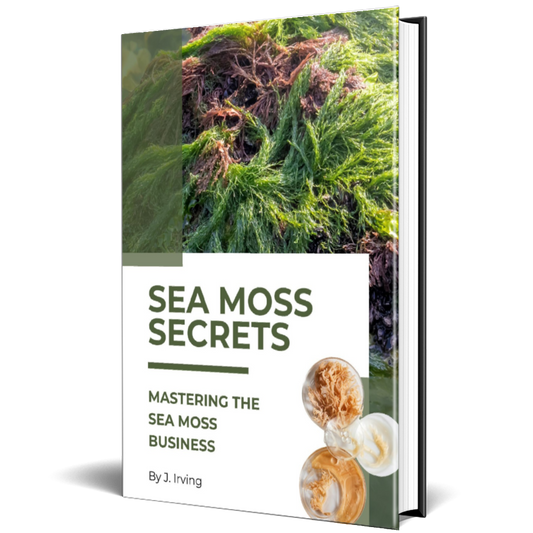 Mastering the Sea Moss Business E-book