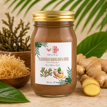 Bladderwrack, Burdock Root & Ginger Sea Moss Gel