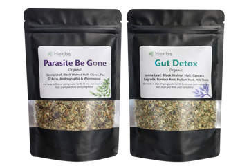 New Year Gut Detox and Parasite Special