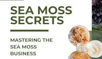 Mastering the Sea Moss Business E-book