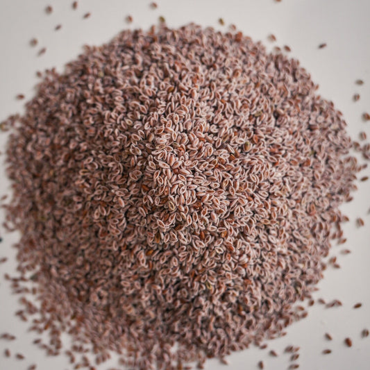 Psyllium Seed - Herbs