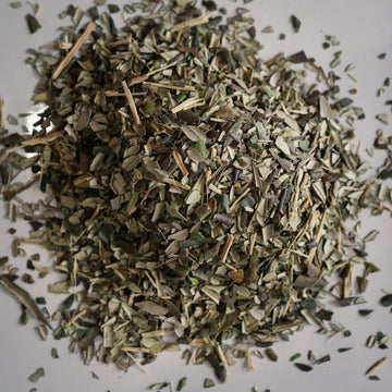 Olive Leaf - Herbs