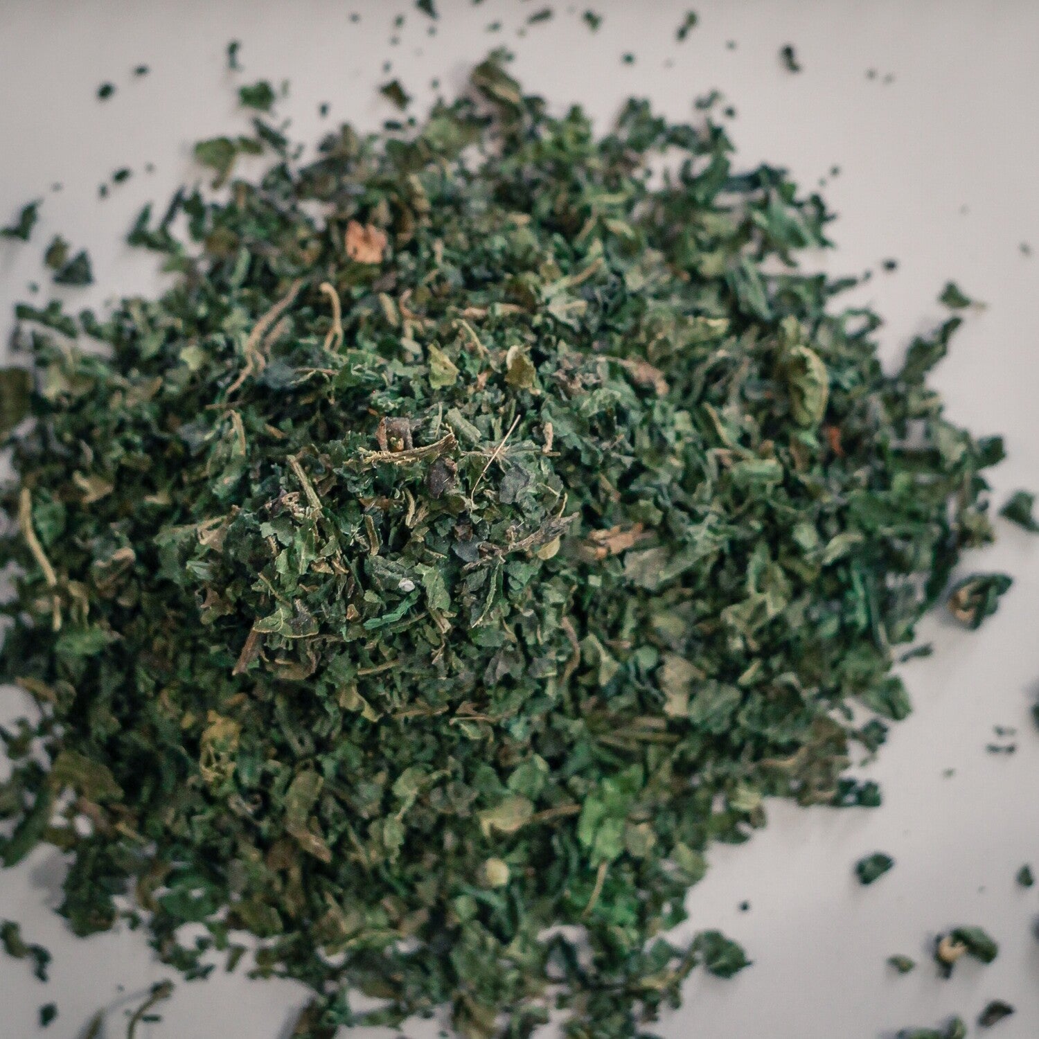 Nettle Leaf - Herbs
