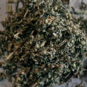 Mugwort - Herbs