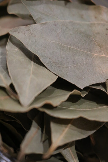 Bay Leaf - Herbs