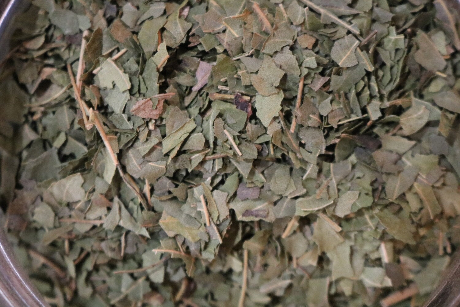 Black Walnut Leaf - Herbs