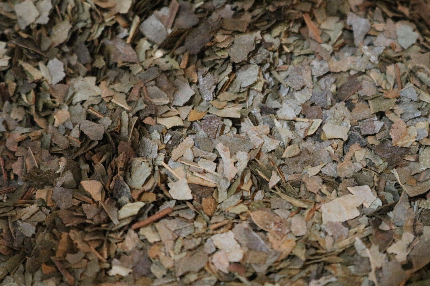 Boldo Leaf - Herbs