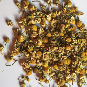 Chamomile Flowers - Herbs