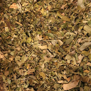 Moringa Leaf - Herbs