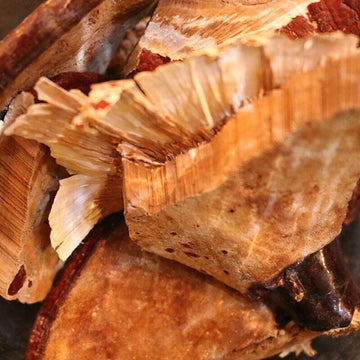 Reishi Mushroom Slices - Herbs