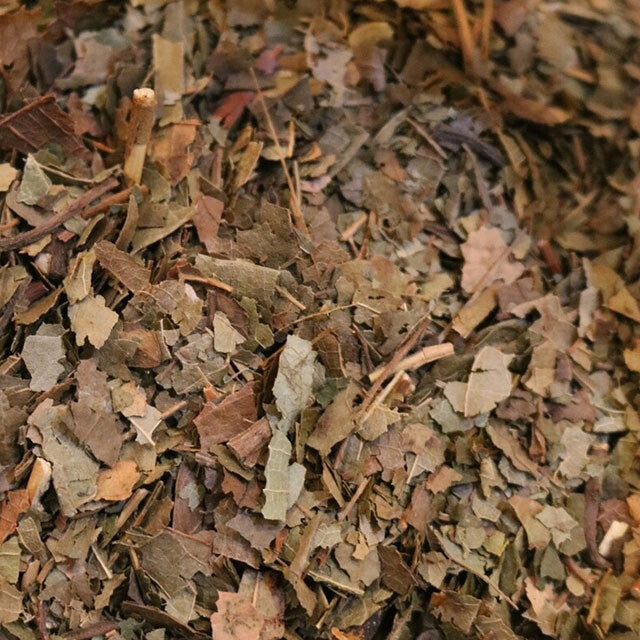 Sassafras Leaf - Herbs