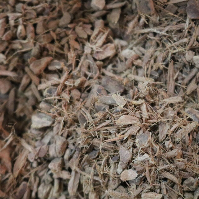 Bayberry Root Bark - Herbs