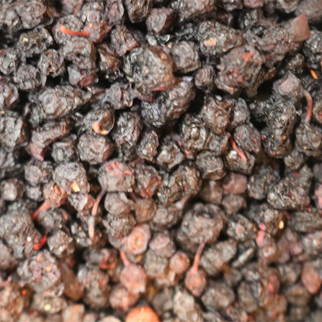 Bilberry Fruit - Herbs