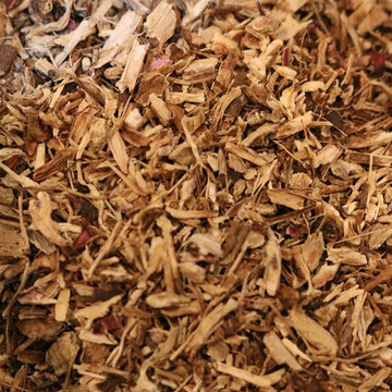 Echinacea Purpurea Root - Herbs