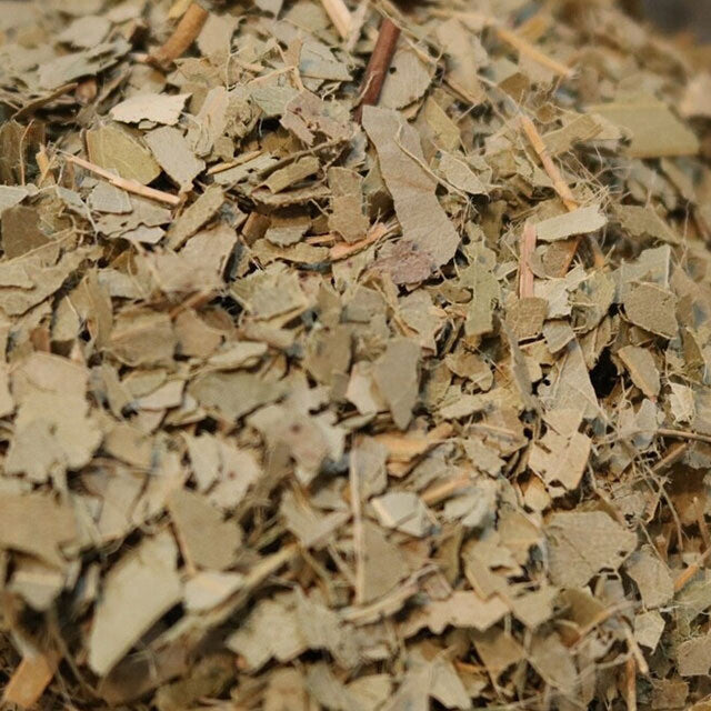 Eucalyptus Leaf - Herbs