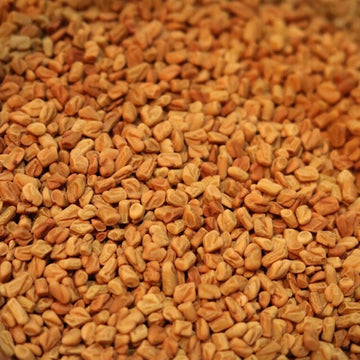 Fenugreek Seed - Herbs