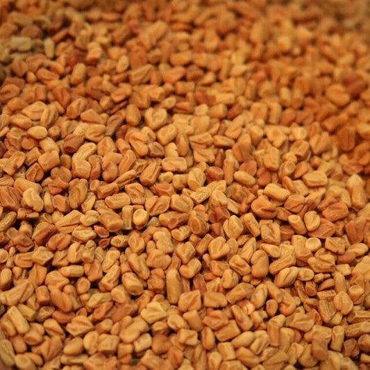 Fenugreek Seed - Herbs