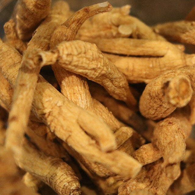 Ginseng Root, White - Herbs