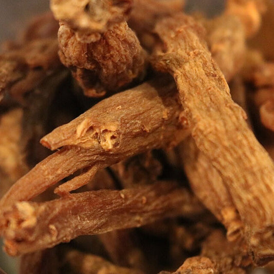 Ginseng Root, Red - Herbs