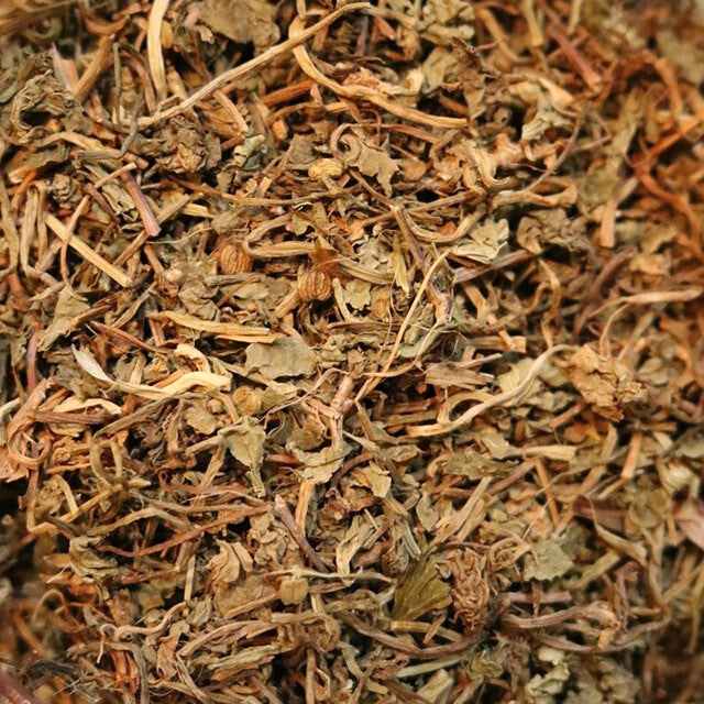 Gotu Kola - Herbs