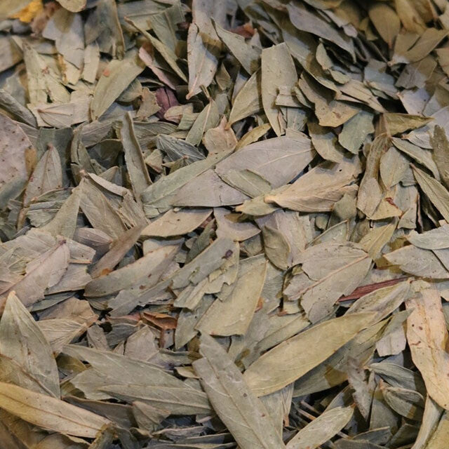 Senna Leaf - Herbs