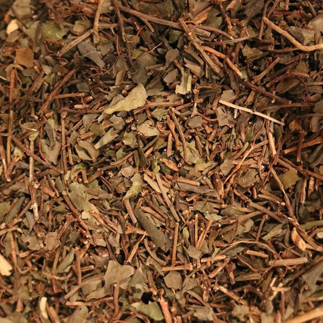 Squawvine Herb - Herbs