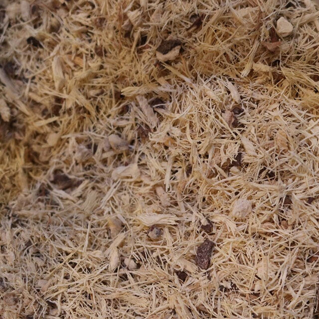 Yucca Root - Herbs