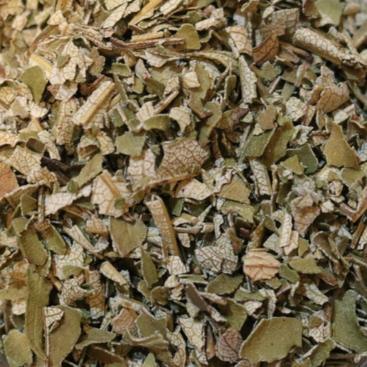 Yerba Santa - Herbs