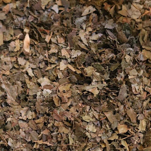 Witch Hazel Leaf - Herbs
