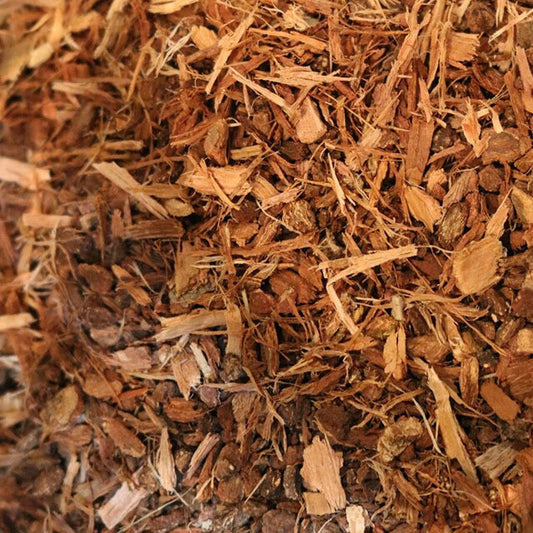 White Oak Bark - Herbs