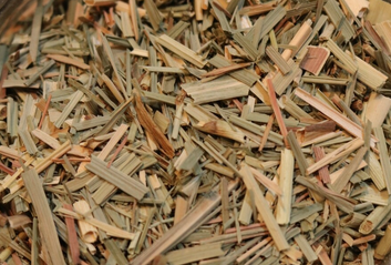 Lemongrass - Herbs