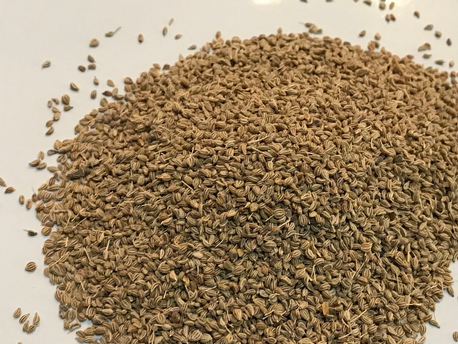 Ajwain Seed - Herbs