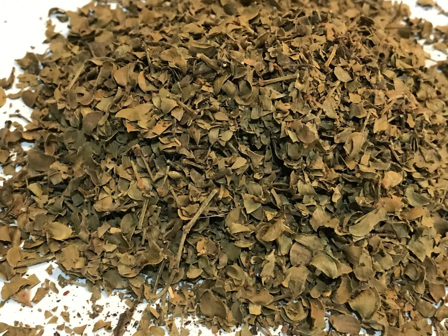 Chaparral Leaf - Herbs