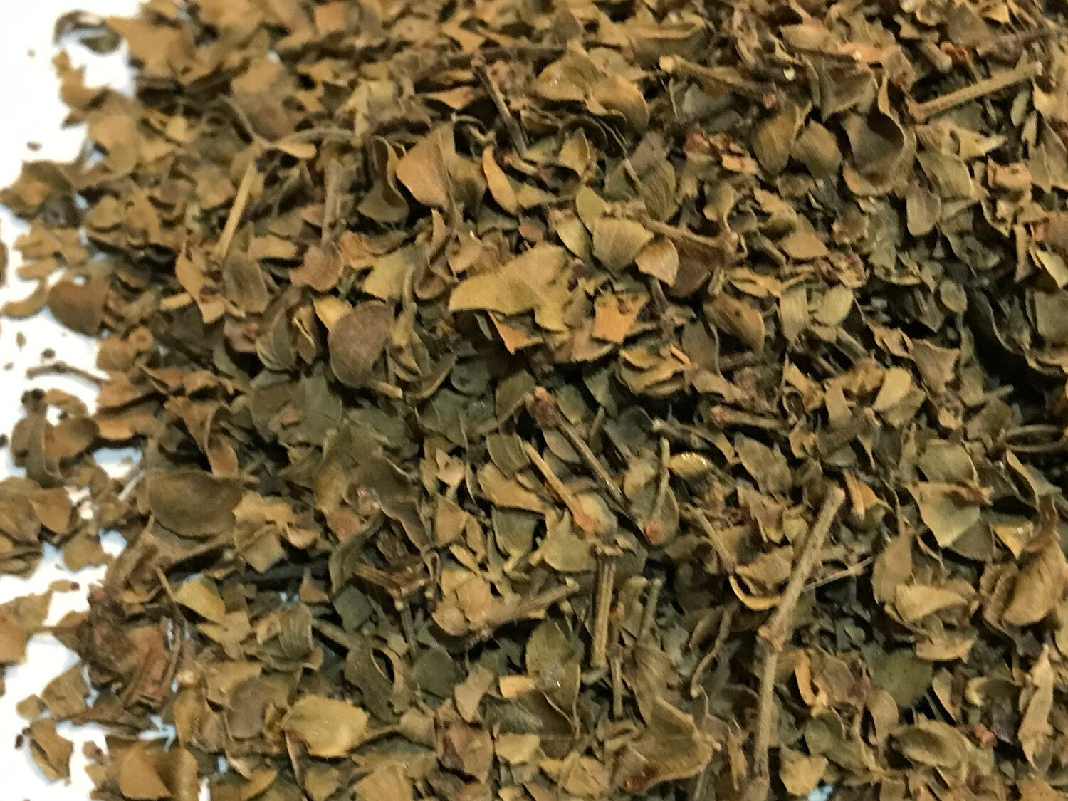 Chaparral Leaf - Herbs