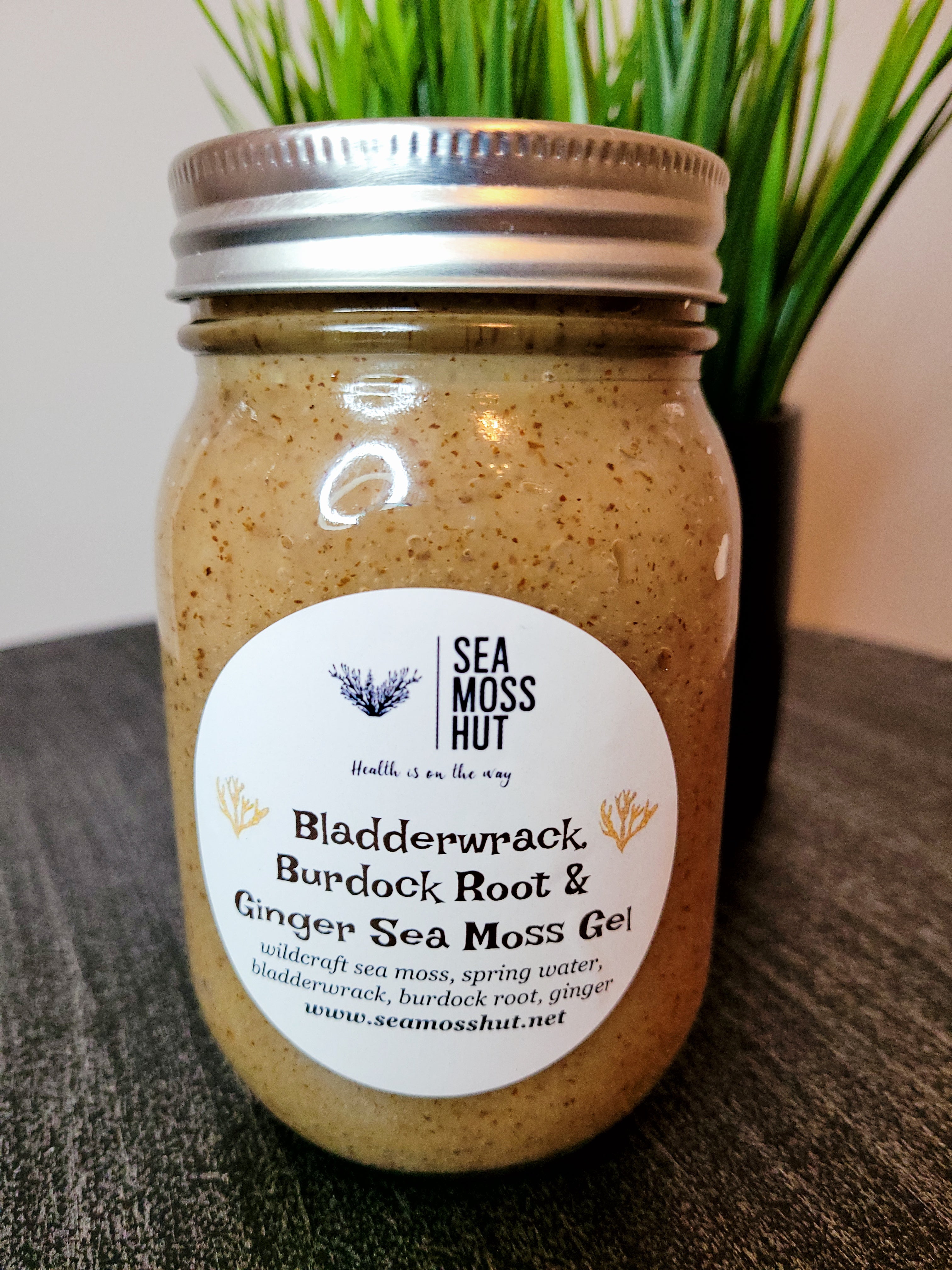 Bladderwrack, Burdock Root & Ginger Sea Moss Gel