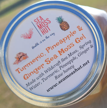 Turmeric Ginger & Pineapple Sea Moss Gel