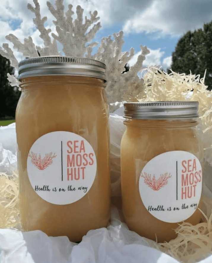 Plain Sea Moss Gel seamosshut 